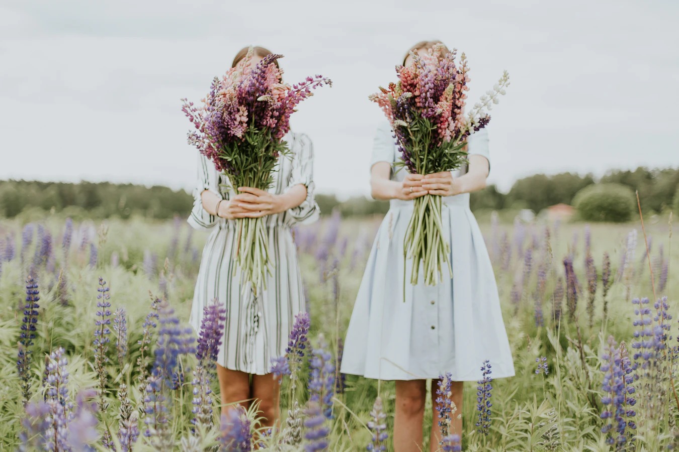 mariage dans le sud de la France